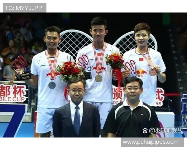 深圳羽毛球队与北京羽毛球队实力对比赛后分析与总结