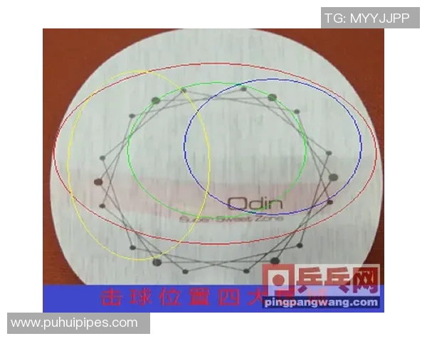 深圳乒乓球队与武汉乒乓球队实力对比及赛后分析探讨 深圳乒乓球队与武汉乒乓球队实力对比及赛后分析探讨