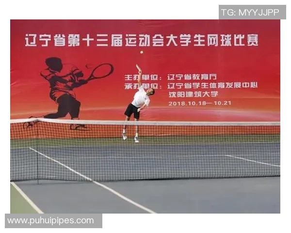 武汉网球队耐力表现分析与提升策略探讨 武汉网球队耐力表现分析与提升策略探讨