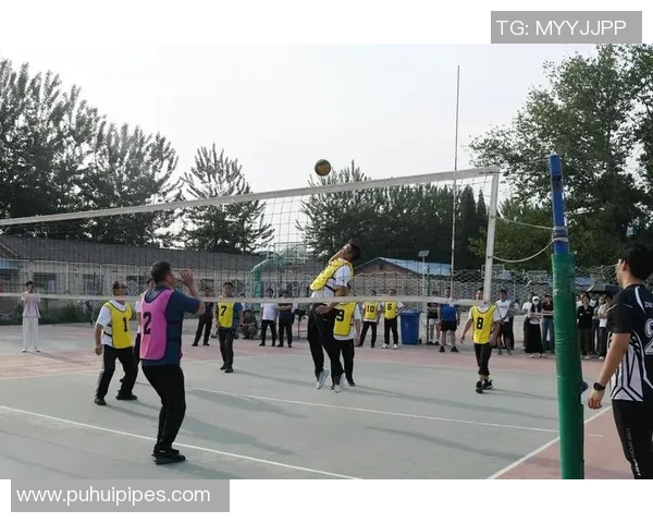 排球心理素质评比揭晓武汉排球队荣登第十位展现强大心理韧性