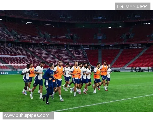 杭州足球队在世界杯预选赛中的速度表现分析与评价