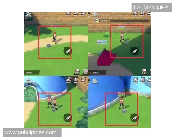 海豚过人足球的奇妙世界探索与技巧分享