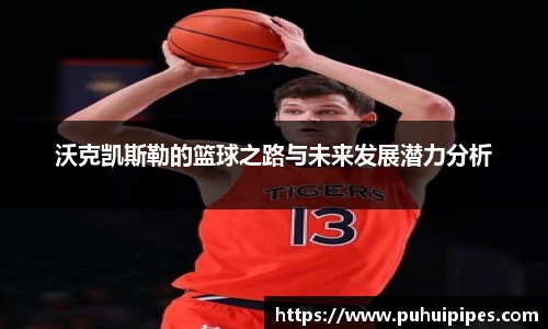 沃克凯斯勒的篮球之路与未来发展潜力分析